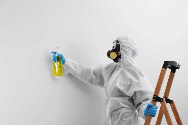 Best Biohazard Mold Removal  in Forest Heights, MD